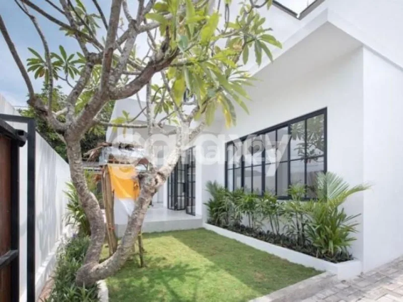 For Sale Contemporary Modern Shite House In Seminyak Badung, Bali - Real Estate in Bali