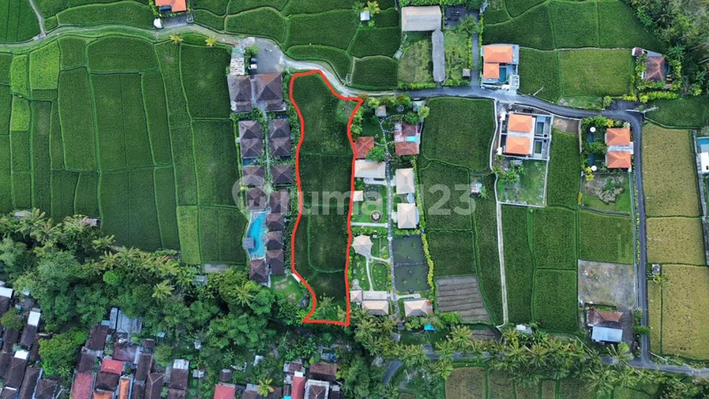 Dijual Tanah Premium Kenderan Ubud Utara View Sawah Lembah Sungai - Real Estate in Bali