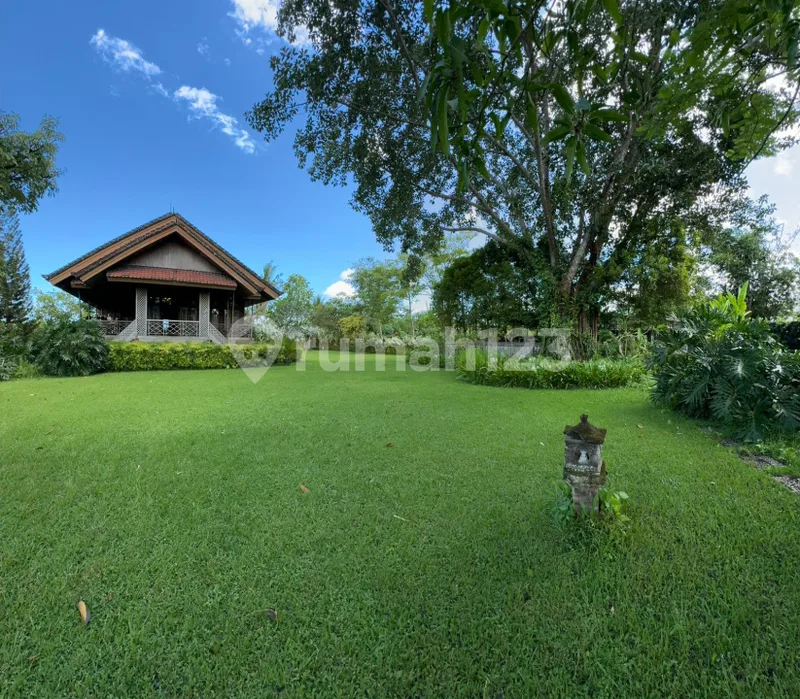 Dijual Tanah + Rumah Kayu Antik Premium Kenderan Ubud View Cantik - Real Estate in Bali