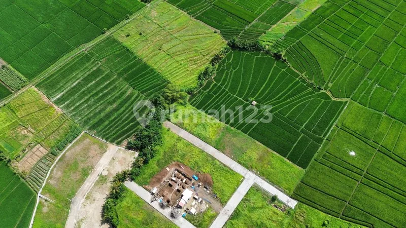 Tanah Kedungu Peruntukan Villa View Syurga - Real Estate in Bali