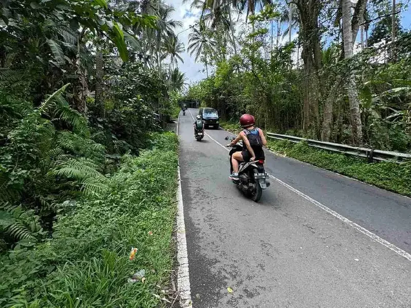 Tanah Komersil Murah di Jalan Utama Ubud Dekat Capella Resort - Real Estate in Bali