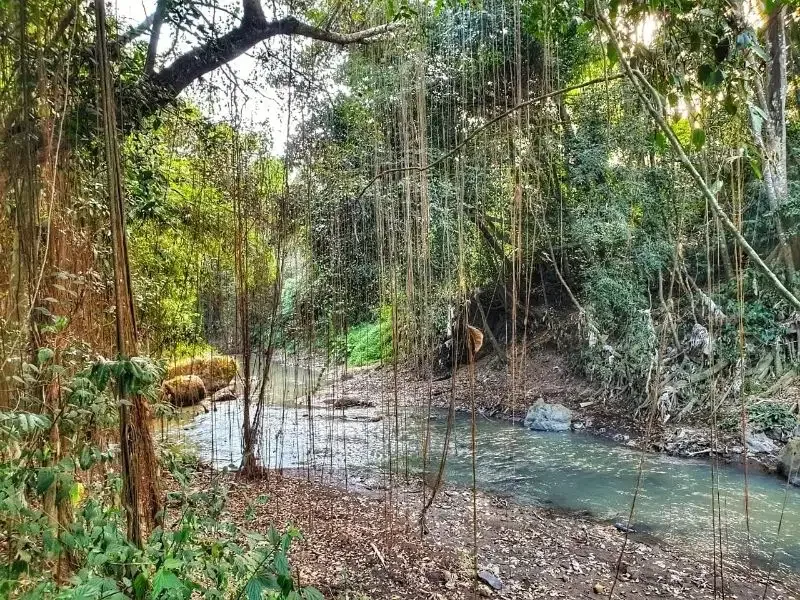 3500 land for sale in the edge or river in munggu bali - Real Estate in Bali