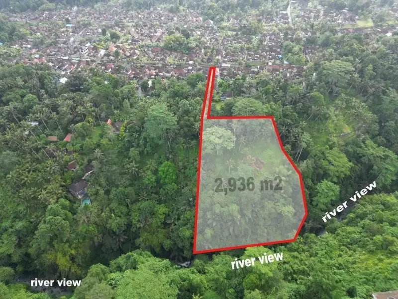 Tanah Tebing Dengan Panorama Hutan Dan Sungai di Ubud Bali - Real Estate in Bali