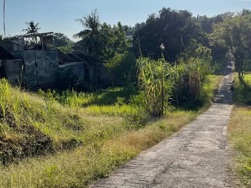 Tanah Kavling 4,1 Are Dekat Pantai Lovina, Singaraja - Bali in Bali