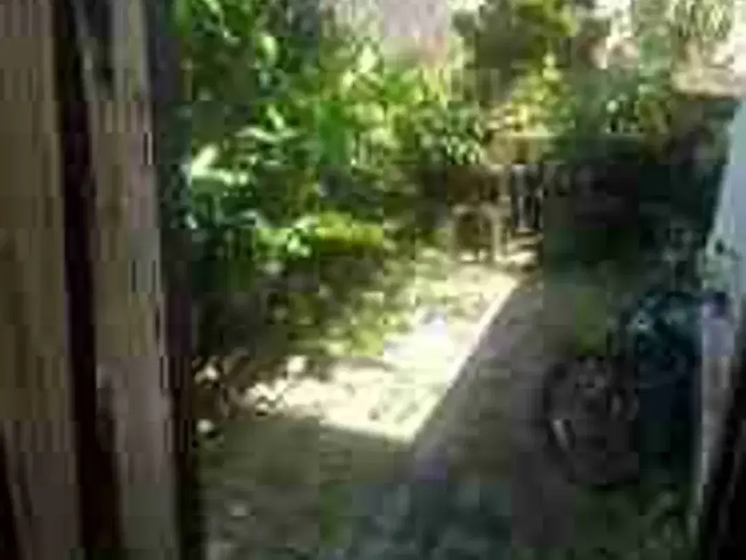 rumah Tukad petanu Denpasar selatan bali - Image 9 of 10