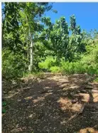 Land for lease in Pecatu - Image 3 of 10