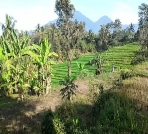 BUC TANAH VIEW GUNUNG, SAWAH DAN SUNGAI TABANAN - Image 9 of 10