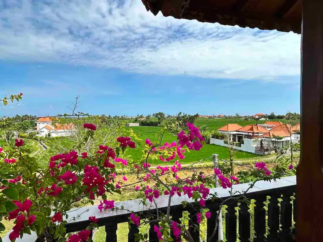 DIJUAL RUMAH KOST AKTIF KAWASAN MUNGGU MENGWI BADUNG - Image 4 of 10
