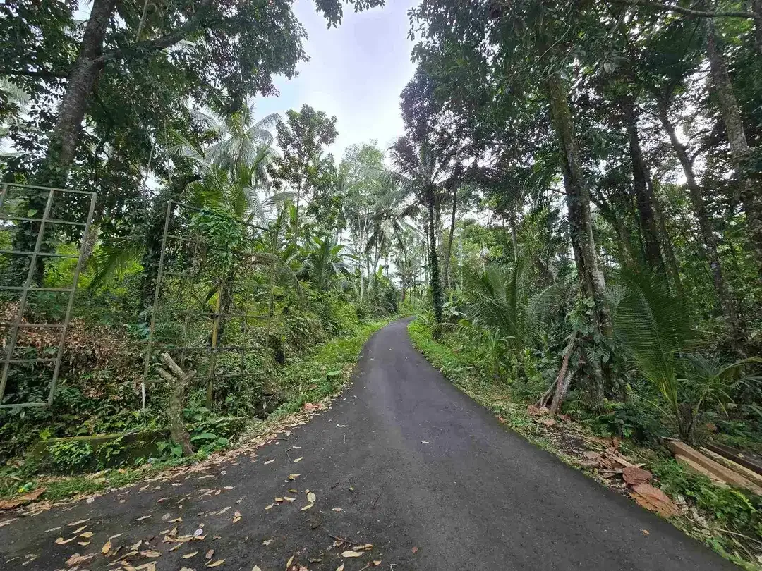 dijual tanah murah view cantik di tabanan bali - Image 9 of 10