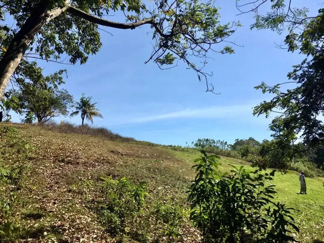 Di jual Tanah luas 191 are / 1 Hektare 91 are Lokasi dekat dengan pantai Klecung, Selemadeg, Tabanan Bali - Image 9 of 10