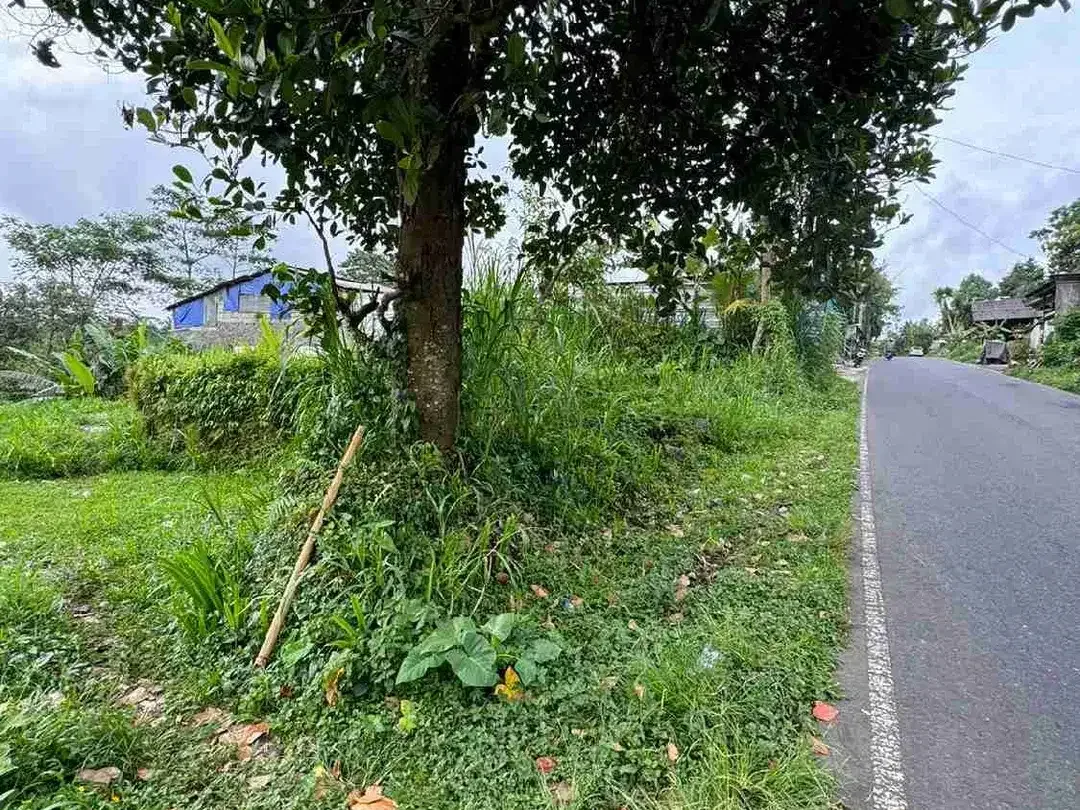 Tanah Premium Jalan Utama Tegalalang Full View Jungle - Image 2 of 9