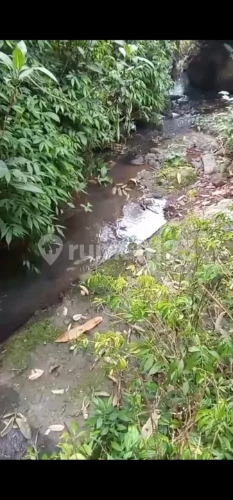 Kebun Produktif 54 Are Mundeh Tabanan Jalan 6 Meter Los Sungai - Image 4 of 4