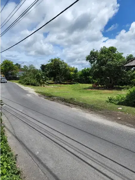 Tanah Murah 1,5 Hektar di Pantai Melasti Ungasan - Image 4 of 10