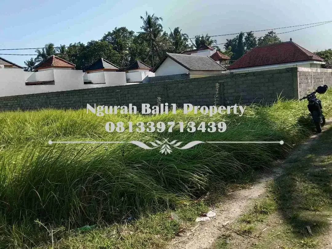 Cantik Land For Sale Murah Luas 500 m2 Kawasan Villa di Lodtunduh Ubud - Image 2 of 5