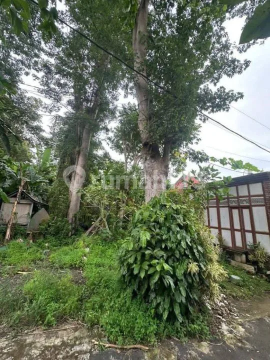 Tanah Bagus Sangat Langka Cocok di Bangun Villa atau Investasi Lainnya - Image 2 of 4