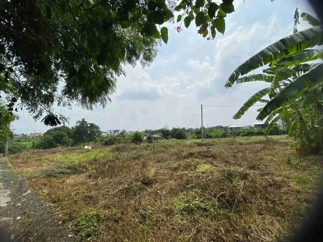 Dijual Tanah Murah di Canggu - Image 6 of 10