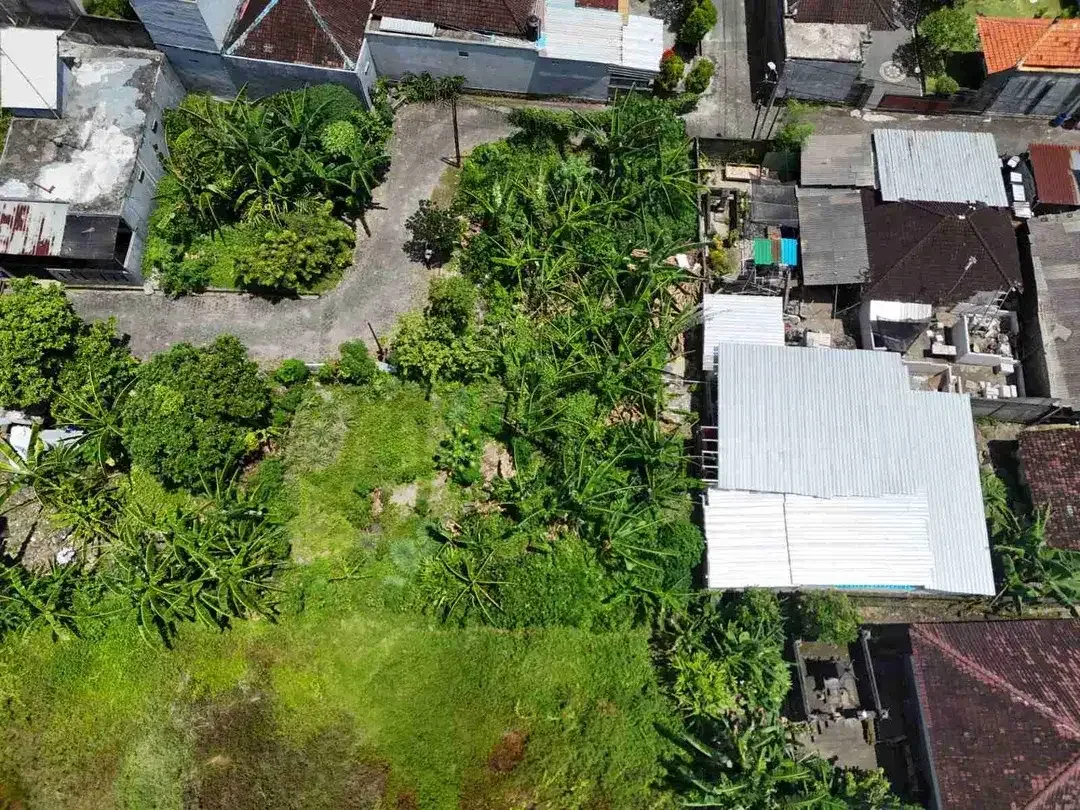 Tanah Datar strategis 15 Menit ke Canggu Bali - Image 7 of 10