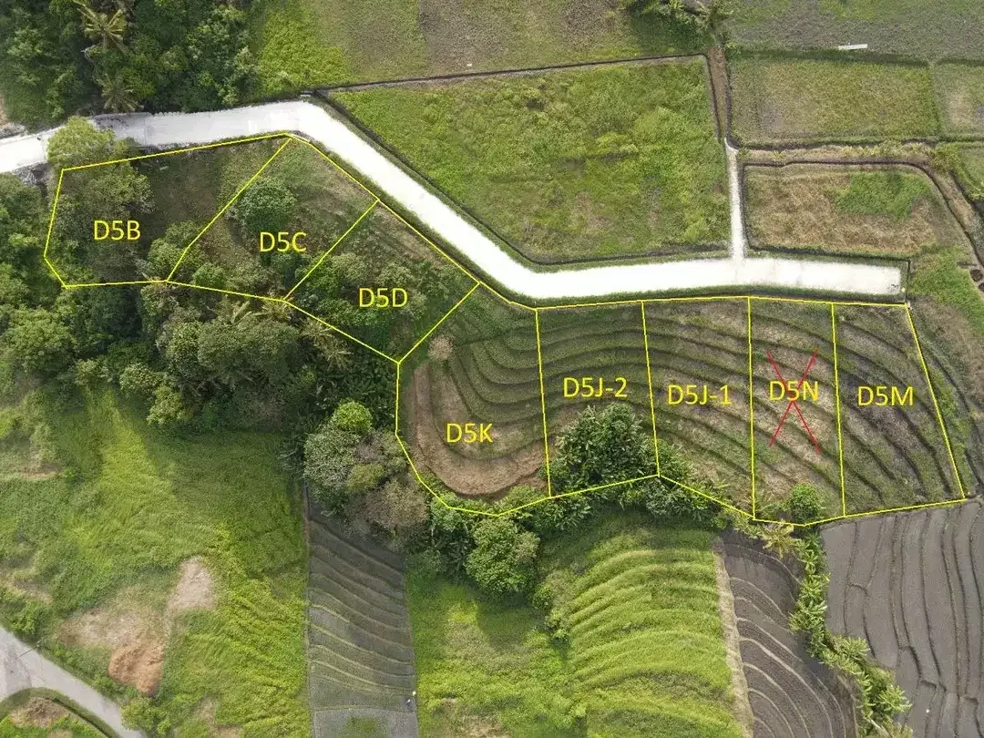 Exclusive Kedungu Land For Sale. - Image 3 of 5