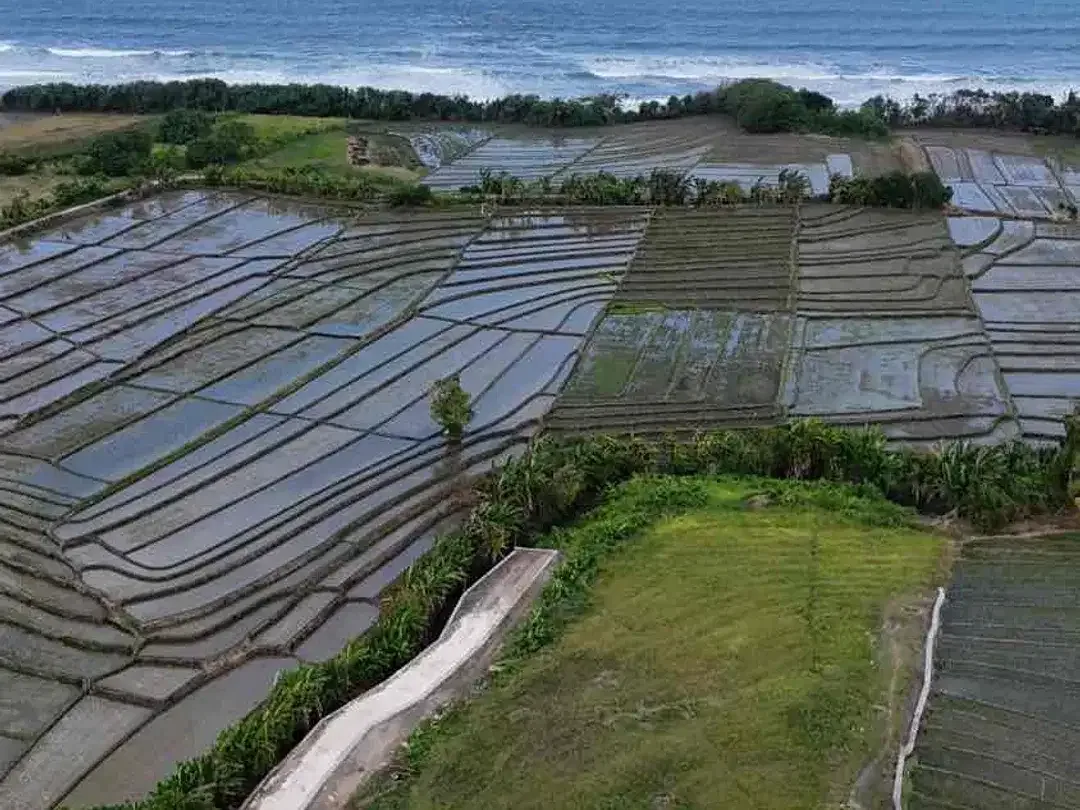 Dijual Tanah Pariwisata SHM 37 Are View Sawah dan Pantai Pasut Bali - Image 3 of 10