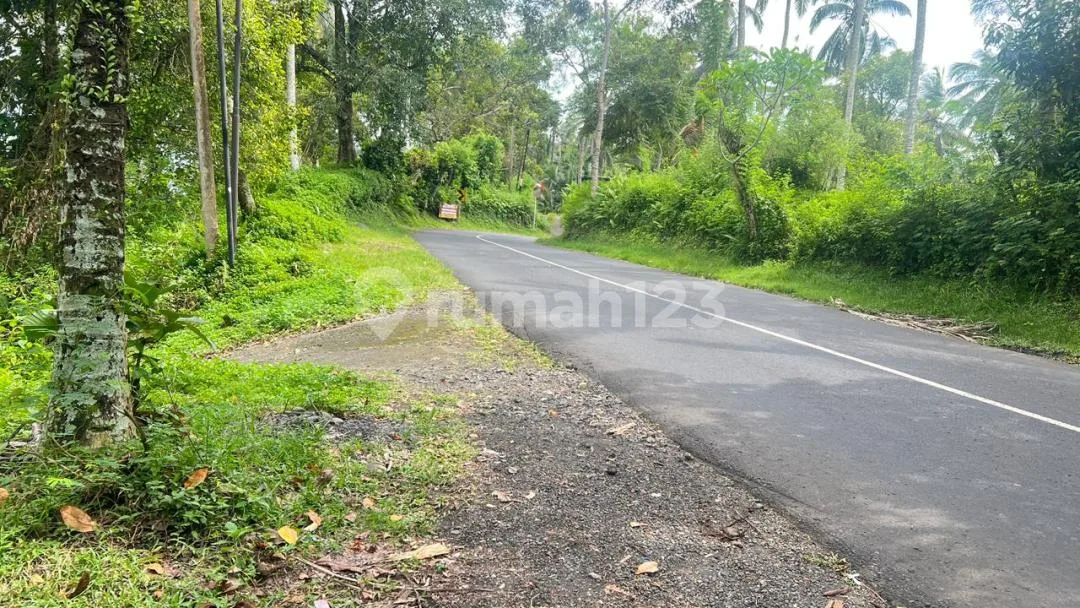 Dijual Tanah View Bali yang Indah Menyejukan Mata di Tabanan Bali - Image 3 of 4