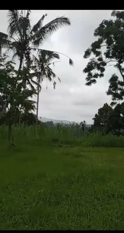 Land 1,2ha for Sale above Telaga Waja River Karangasem Bali - Image 6 of 10