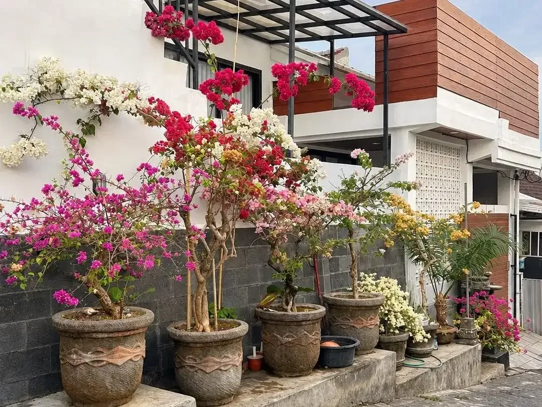 Brand New House for Rent One Gate System in Goa Gong, Jimbaran. - Image 8 of 10