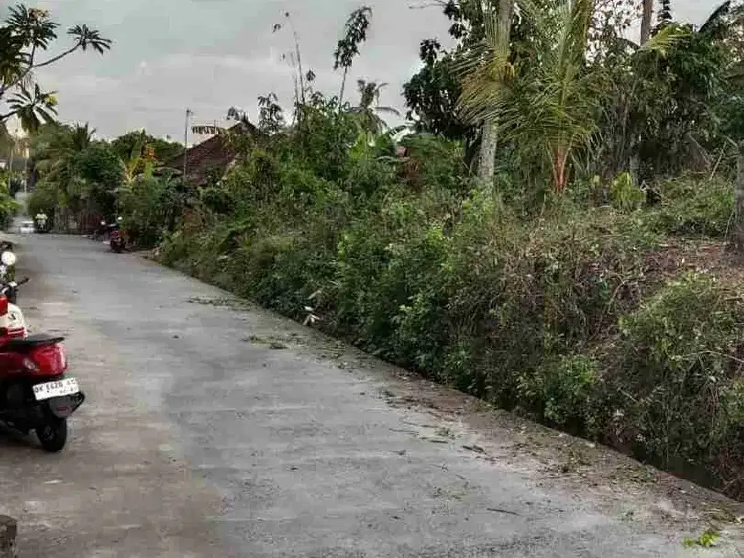 Di jual tanah luas 3.5 are/350 m2 di Yeh Gangga Tabanan deket pantai yeh Gangga -+10 menit - Image 2 of 10