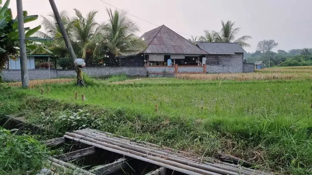 Tanah Murah Di Jalan Utama Bypass Ida Bagus Mantra Lebih Gianyar - Image 5 of 10
