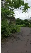 TANAH 1 HEKTAR DI BELAKANG KAMPUS UNUD - Image 2 of 10