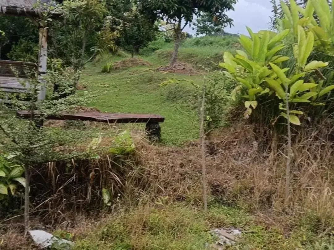 Land for sale in Kaba Kaba, Bali - Image 7 of 7
