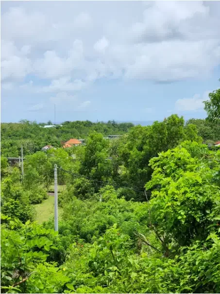 Land for lease ocean view ungasan - Image 5 of 8