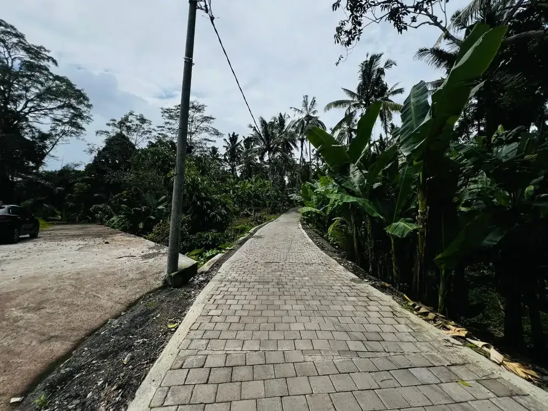 Tanah jungle payangan ubud - Image 3 of 9