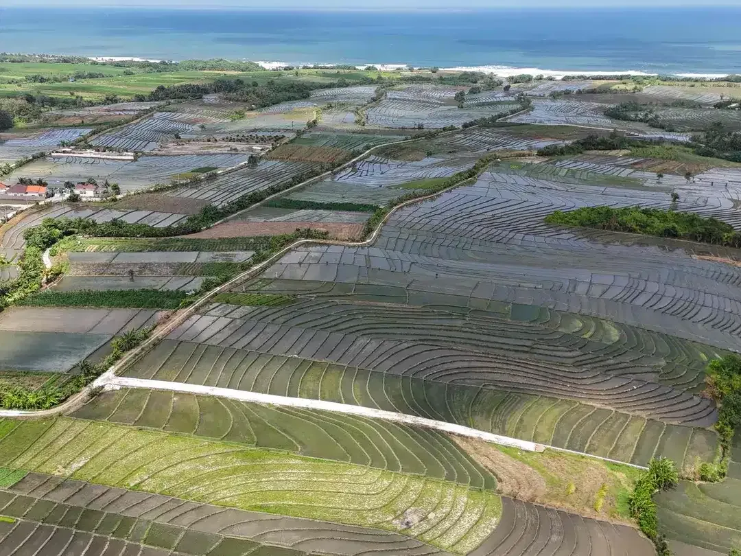 Dijual Tanah Pariwisata SHM 37 Are View Sawah dan Pantai Pasut Bali - Image 9 of 10