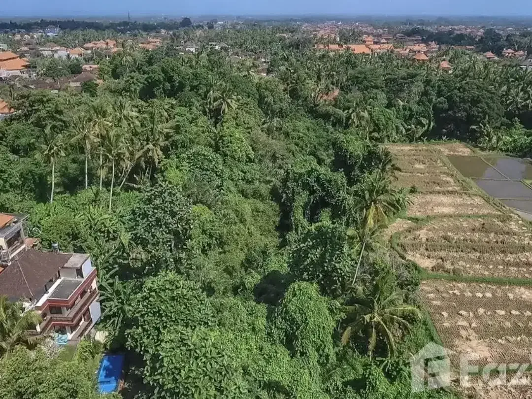 Land for sale in Ubud, Bali - Image 2 of 5