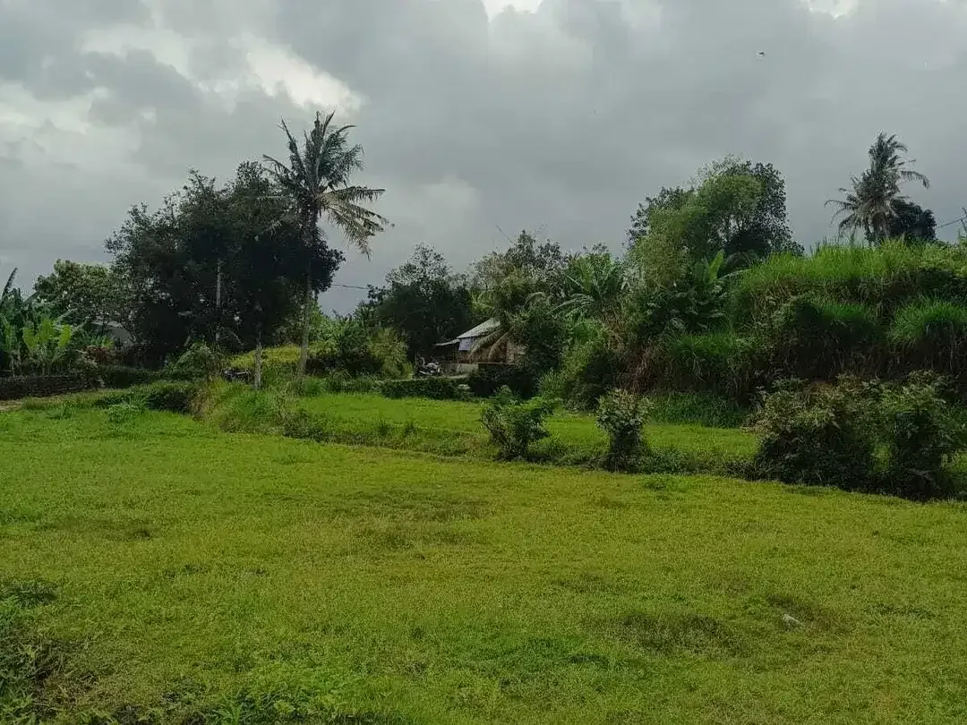 Land for sale in Kediri, Bali - Image 3 of 10