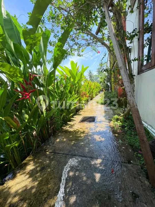 For Rent Villa Rice Field View 10 Menutes From Mongkey Forest Center Ubud Ubud 3 Bedroom 10 Menutes From Mongkey Forest Sentral Ubud Gianyar 40 Menit From Canggu Nyanyi Beach Tanah Lot Tabanan For - Image 3 of 4