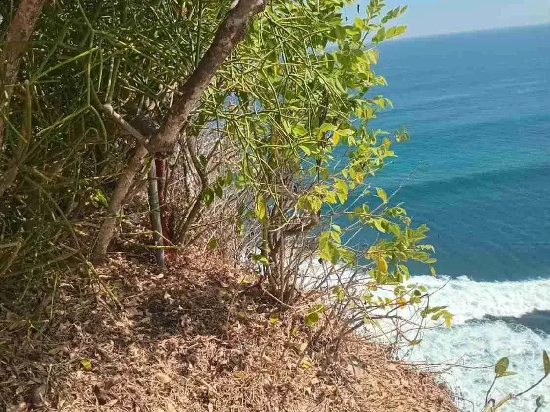 Tanah Tebing Exclusive Uluwatu Bali - Image 7 of 10