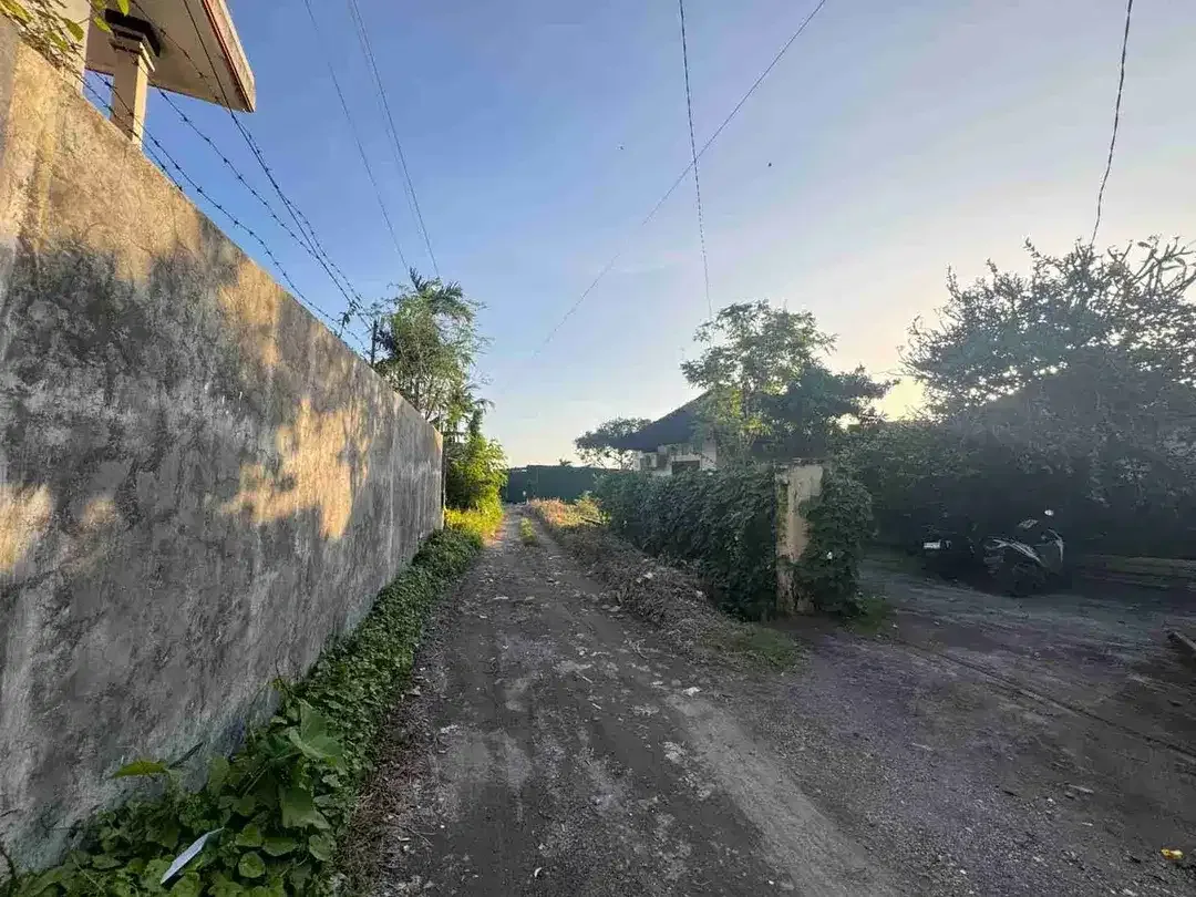 Dijual Tanah 7,5a di area Jln Pantai Brawa Canggu Bali - Image 7 of 7