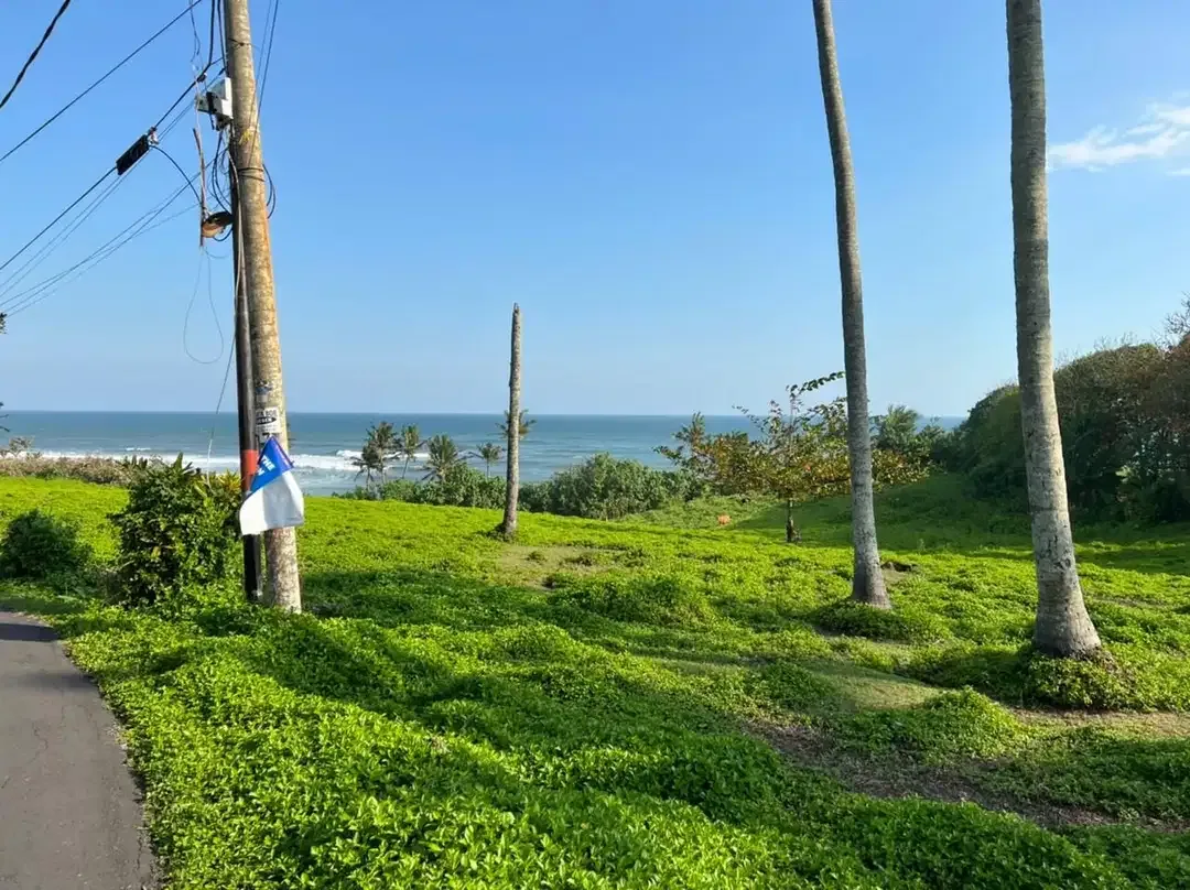 DIJUAL TANAH PREMIUM BEACHFRONT DI TABANAN - Image 10 of 10
