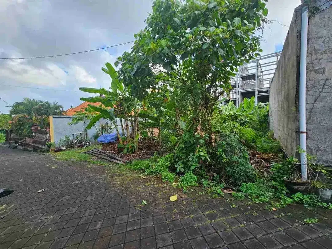Tanah 175m2 di Canggu Berawa dekat fins - Image 3 of 7