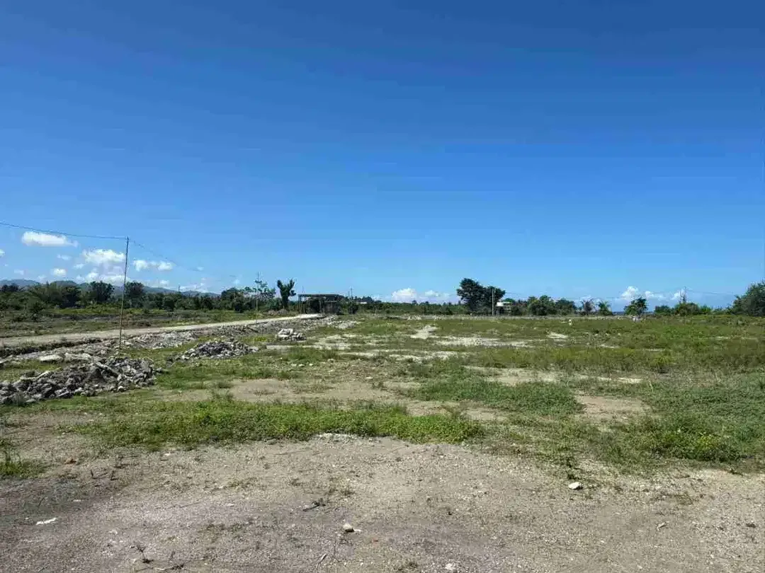 TANAH LOSS PANTAI SIUT IDA BAGUS MANTRA - Image 2 of 7