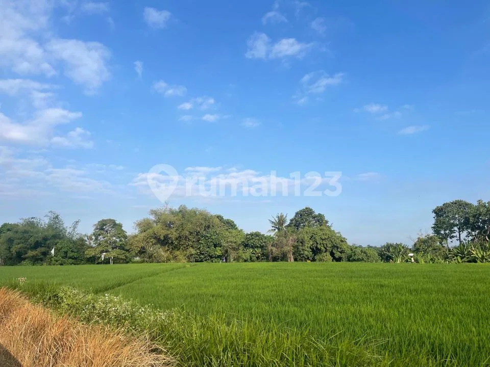 Modern 3Br Semi Villa Kedungu Beach - Rice Field View (101V) - Image 2 of 4