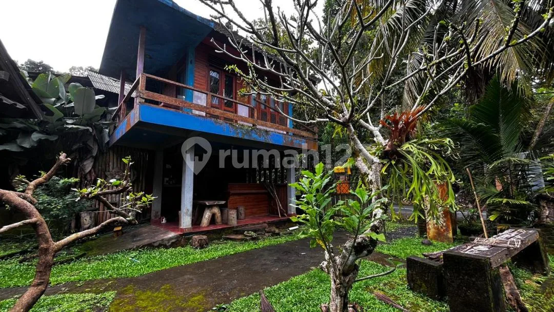 Jual Tanah Dan Rumah Murah Di Tabanan Bali - Image 3 of 4