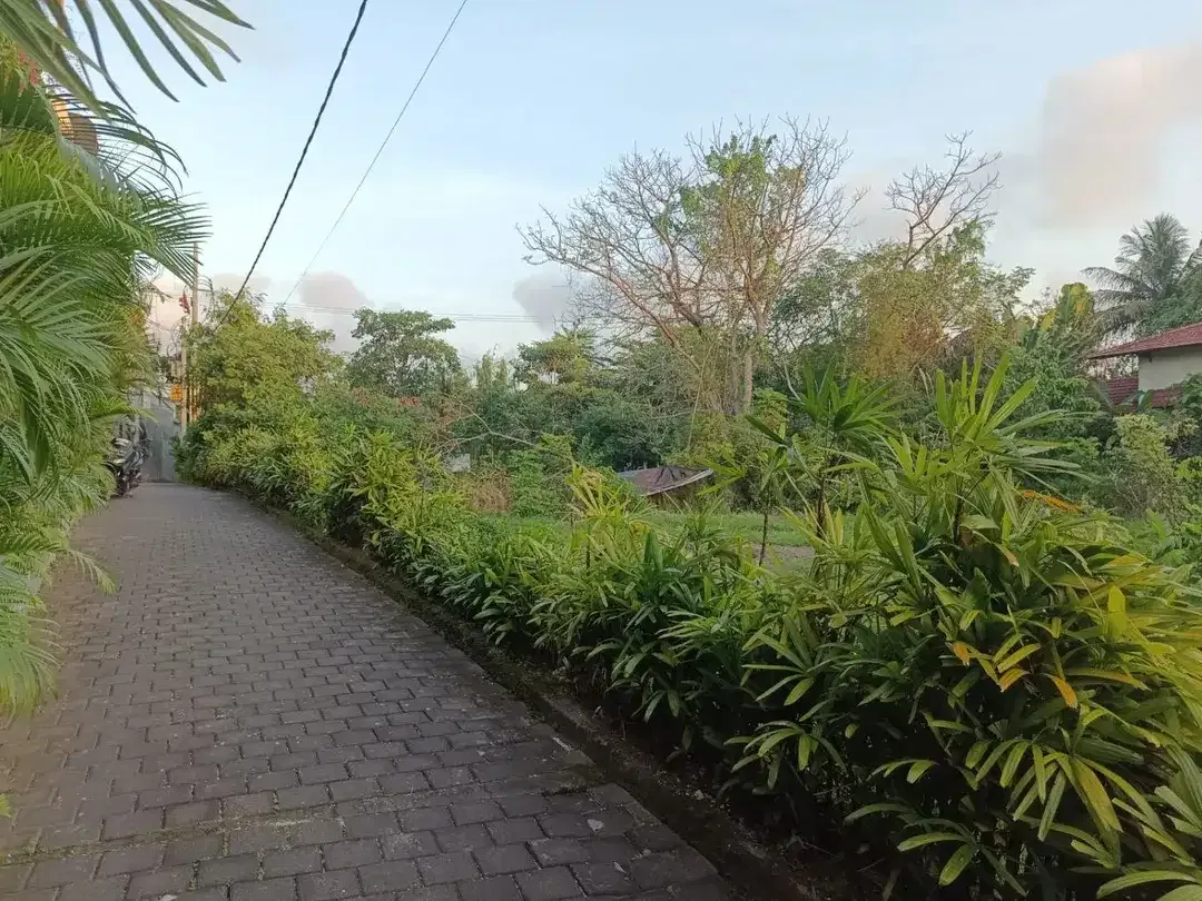 Dijual tanah di jalan utama pantai pererenan canggu. - Image 6 of 10
