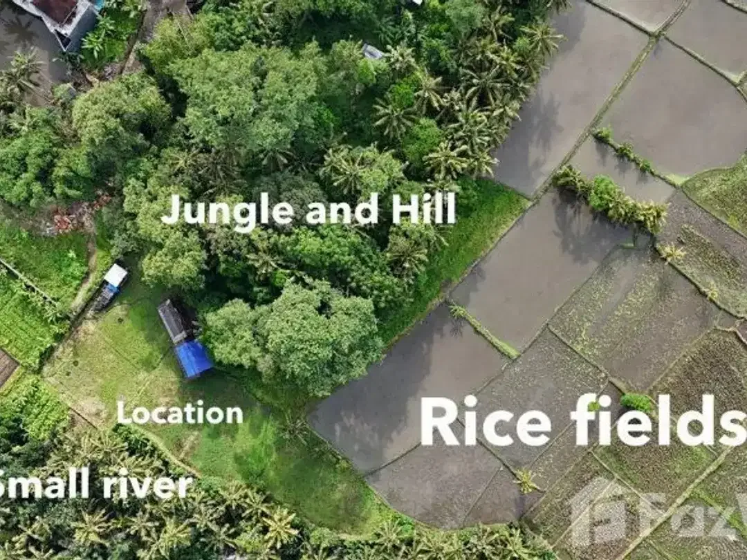 Land for sale in Ubud, Bali - Image 2 of 7