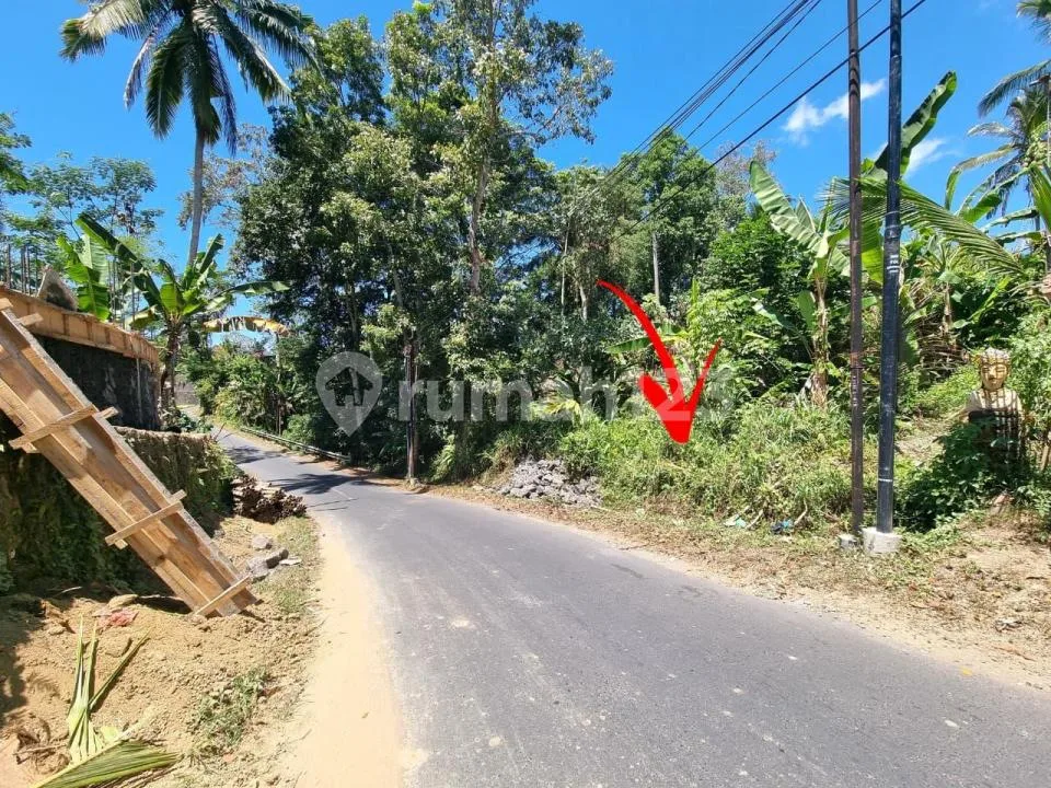 Tanah Ubud Tegallalang Samping Sungai Zona Perdagangan - Image 2 of 4