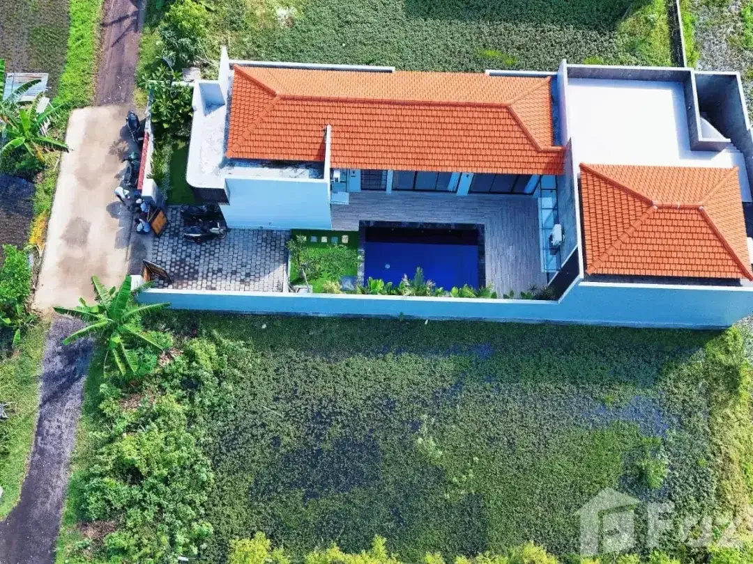 3 Bedroom Villa for sale in Lovina, Bali - Image 3 of 10