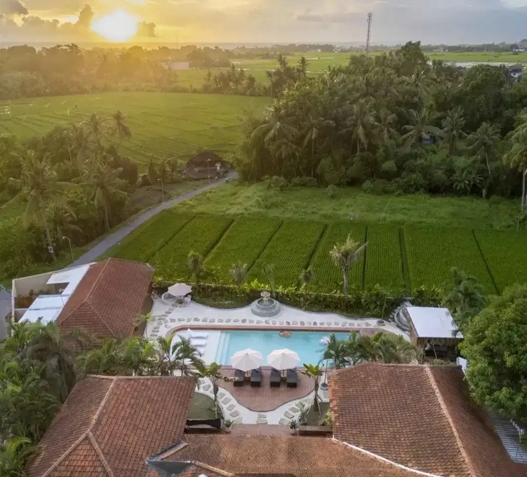 Kedunggu calling 5 bedrooms villa for sale - Image 7 of 10