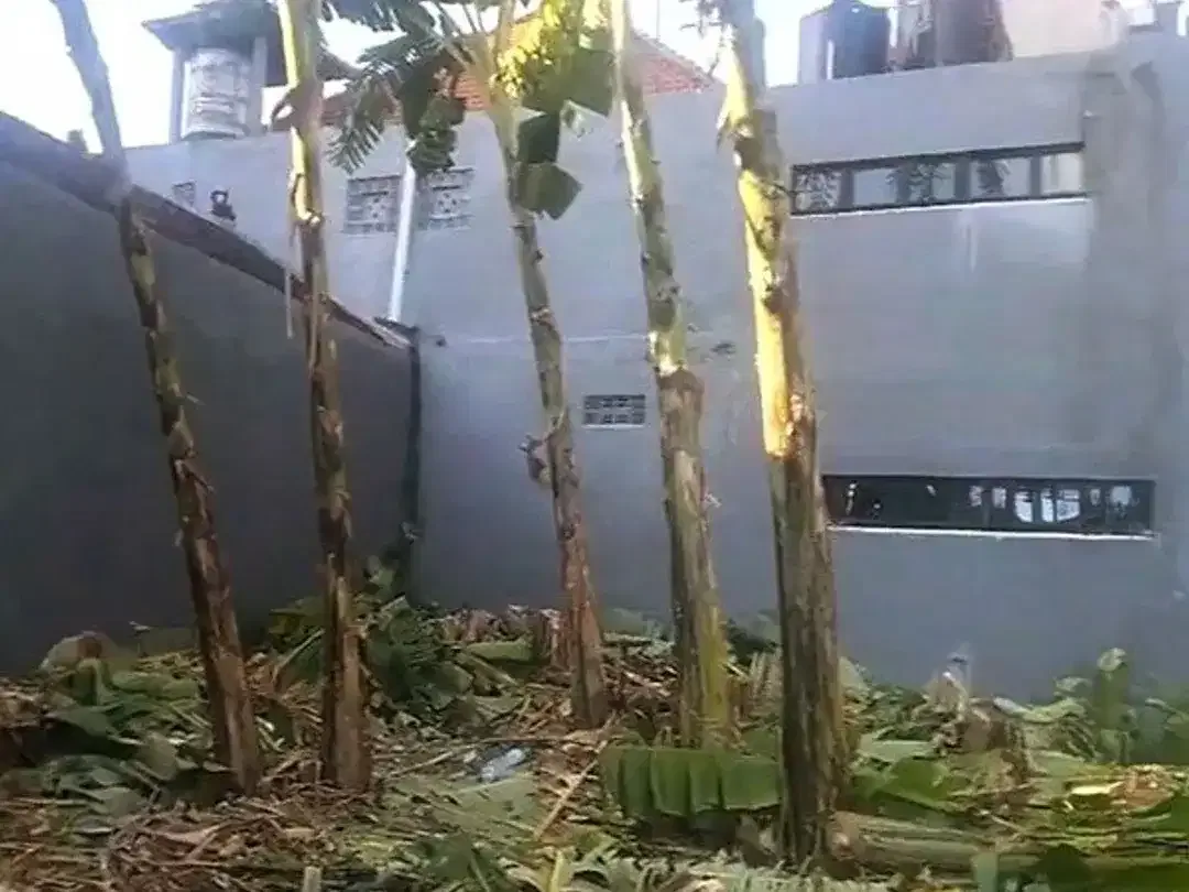 Ams-012.Jsp | Dijual Tanah Kavling Premium – Jalan Raya Semat, Canggu Bali - Image 4 of 10