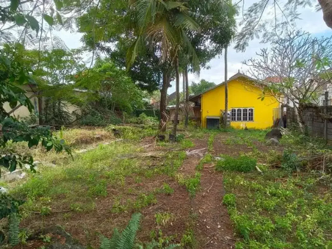 TANAH JALAN UTAMA BERAWA DEKAT ATLAS - Image 3 of 7